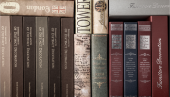 20 Best Toddler Books to Stock Your Library